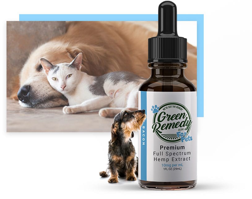 Green Remedy CBD Hemp Products for Pets