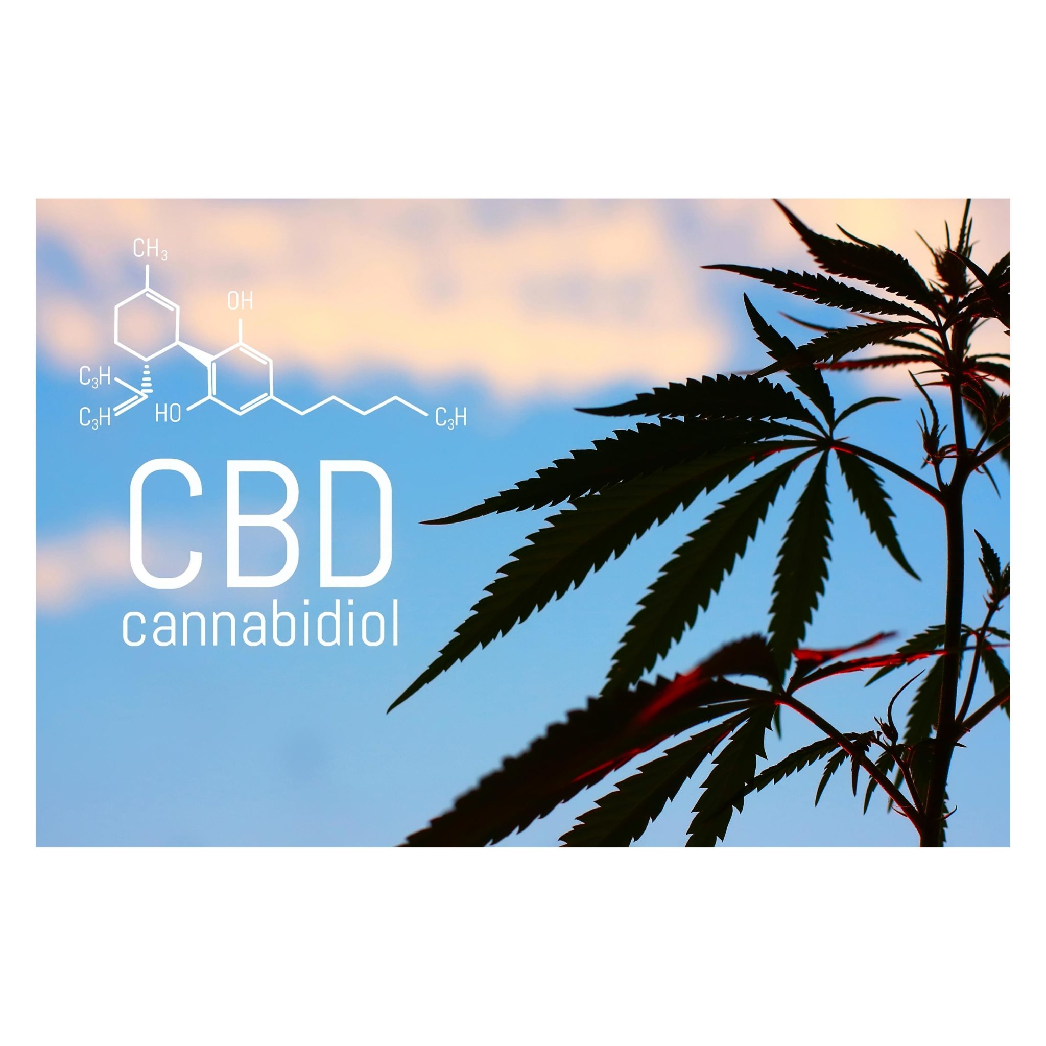 What Is Cbd Learn About Hemp And Cbd Products Green Remedy